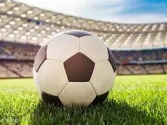 美元强势与,风险情绪升,温致金价回,大发彩票官方网站,大发彩票官方,大发彩票,大发彩票体育平台,大发彩票赛事机构,大发彩票直播运营公司