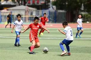 勇闯彩市,揭秘福彩,期独门秘籍,大发彩票官方网站,大发彩票官方,大发彩票,大发彩票体育平台,大发彩票赛事机构,大发彩票直播运营公司