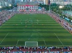 蔻丹揭秘,福彩,期必中攻略,大发彩票官方网站,大发彩票官方,大发彩票,大发彩票体育平台,大发彩票赛事机构,大发彩票直播运营公司