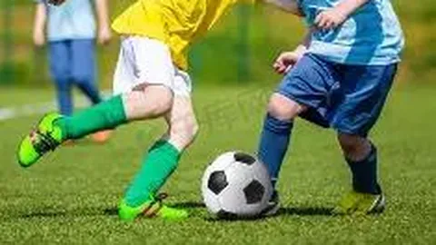 森林战场弱者可关注