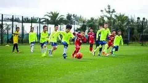 电子竞技导师崛起：揭秘高薪“电竞指导员”职业之路