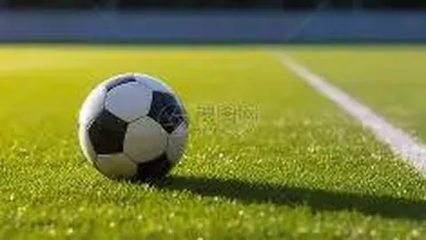 中国向俄罗斯实施临时免签措施（2025年9月15日至2026年9月14日）