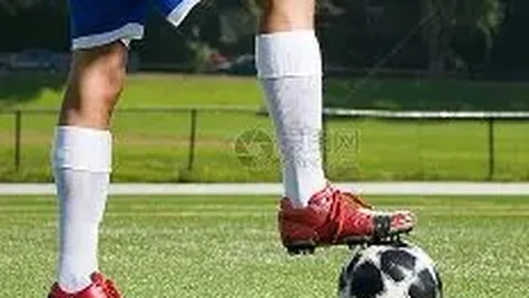 谢霆锋成娱乐圈幸福楷模：张柏芝助力育英才，与王菲甜蜜共生，事业爱情双赢，神仙眷侣典范