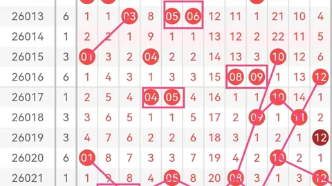 山东逸飞双色球2026年022期独特点睛龙头二码推荐