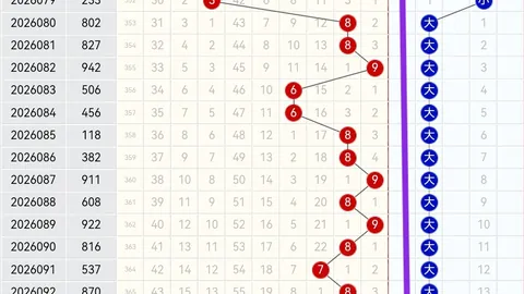 大乐透26062期专家质合推荐凤尾分析